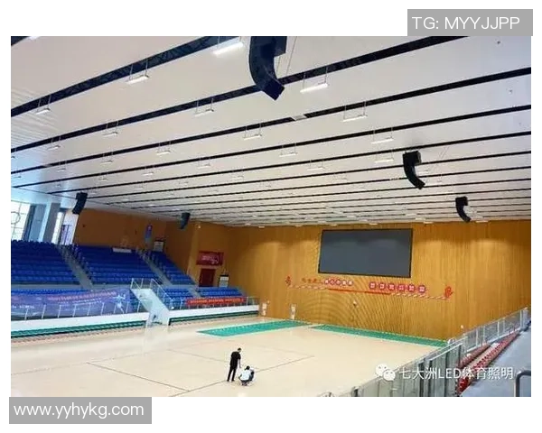 北京排球队的运营模式与市场策略深度解析